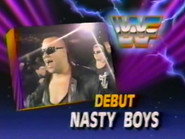 December 29, 1990 - Superstars of Wrestling 226