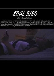 Poster Soul Bird 2014