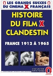 Histoire du film X clandestin