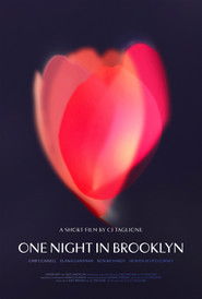 One Night in Brooklyn (2025)