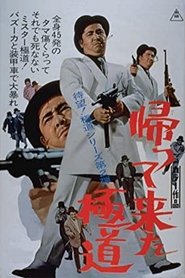 Poster Return of the Outlaw 1968