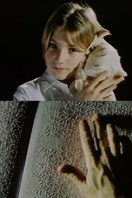 Poster The Ape of Light 2002