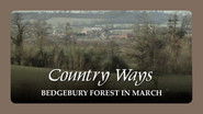 Bedgebury Forest in March
