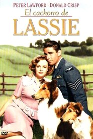 El Hijo De Lassie (1945) Son of Lassie