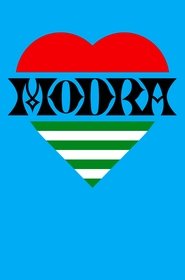 Poster Modra 2010