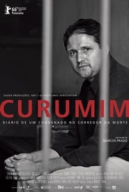 Poster Curumim