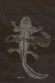 아숄로뜰 이야기-조우