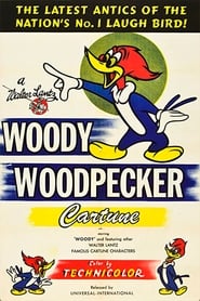 Woody Woodpecker постер