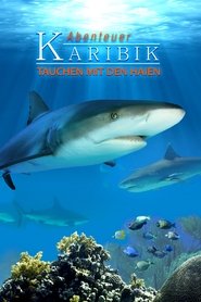Poster Adventure Caribbean 3D: Diving With Sharks 2012
