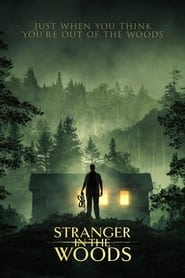 Ver Stranger in the Woods PELÍCULA COMPLETA EN ESPAÑOL Y LATINO