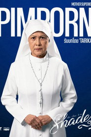 Відтінки постер
