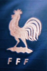 Poster Bleues 2019