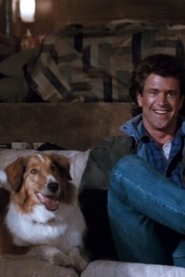 Sam the Dog