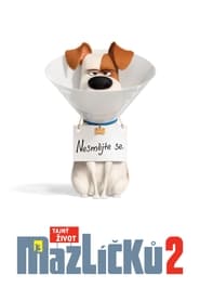 Tajný život mazlíčků 2 [The Secret Life of Pets 2]