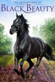 The Adventures of Black Beauty poster