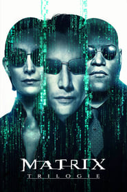 Matrix - Saga en streaming