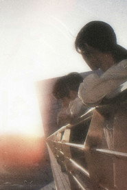 Sunshine Through the Rain poster
