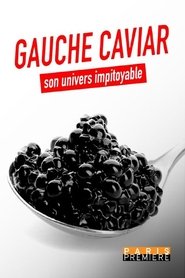 Gauche caviar, son univers impitoyable 2022 Безплатен неограничен достъп