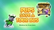 Pups Save a Tour Bus