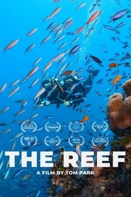 The Reef