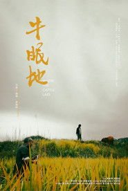 Where the Cattle Laid (2023)