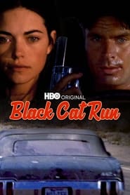 Black Cat Run постер