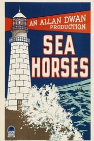 Poster Sea Horses
