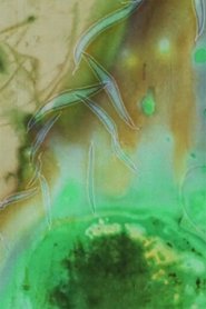 Poster Fireside 1983