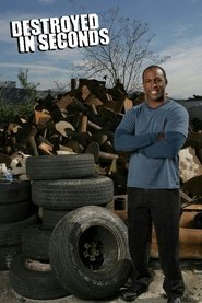 Destroyed In Seconds (2008)