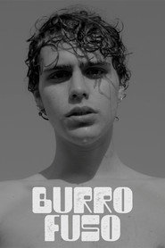 Poster for Burro Fuso