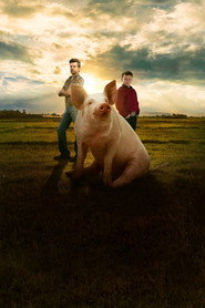 Pig Royalty постер