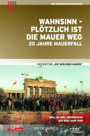 Unbelievable - Just Like That, the Wall was History