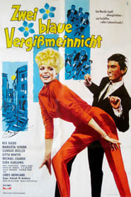 Poster Zwei blaue Vergissmeinnicht 1963