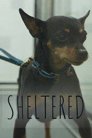 Sheltered постер