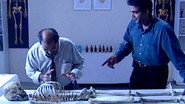The Case Of The Talkative Skeleton: Part 1