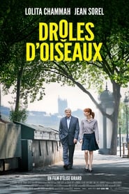 Drôles d'oiseaux film en streaming