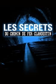 Affiche de Underground Railroad: The Secret History