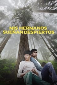 Poster Mis hermanos sueñan despiertos