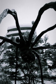 Poster for ROPPONGI-ROPPONGI