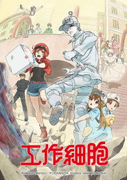 Cells at Work! Cells at Work! 24