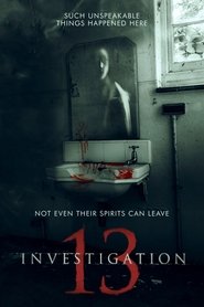 Investigation 13 постер