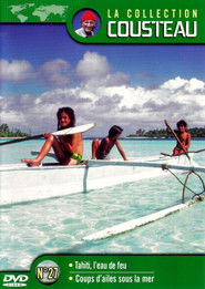 The Cousteau Collection N°42-1 | Desert Diamonds: South Africa (Part 1)