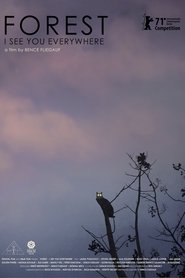Poster Forest: I See You Everywhere 2022