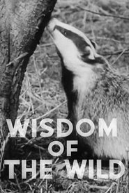 Wisdom of the Wild (1940)