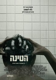 הטינה (2019)