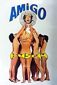 Poster Amigo Hüsnü