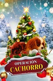 Project: Puppies for Christmas (2019) | Project: Puppies for Christmas