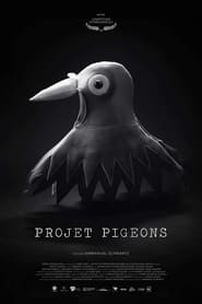 Poster Projet Pigeons