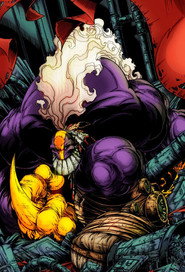 The Maxx poster