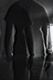 Double Vision Poster